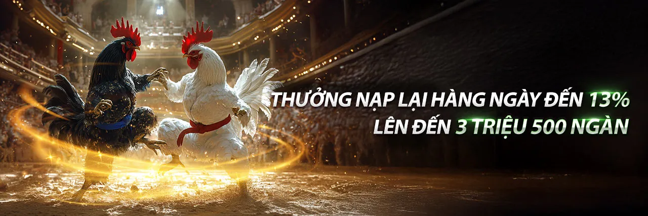 Sân vận động với ánh đèn rực rỡ, biểu tượng cá cược as9vip